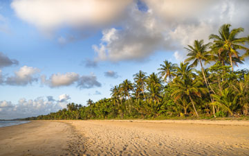 Queensland Beaches