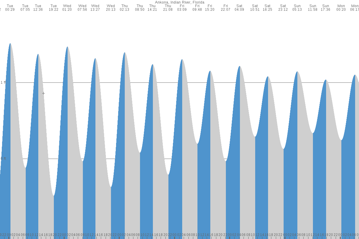 Ankona tide chart