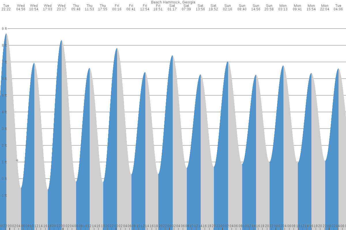 Beach Hammock tide chart