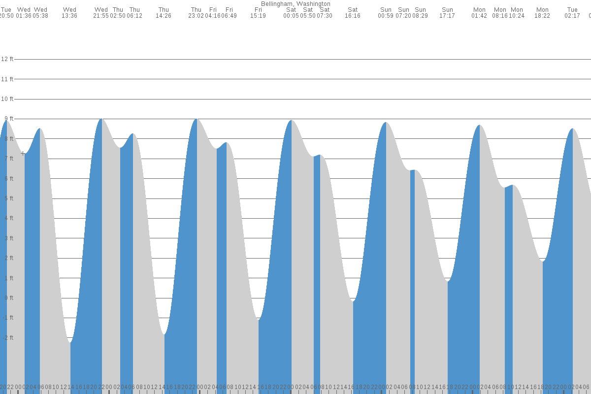 Lemon Bay Tide Chart