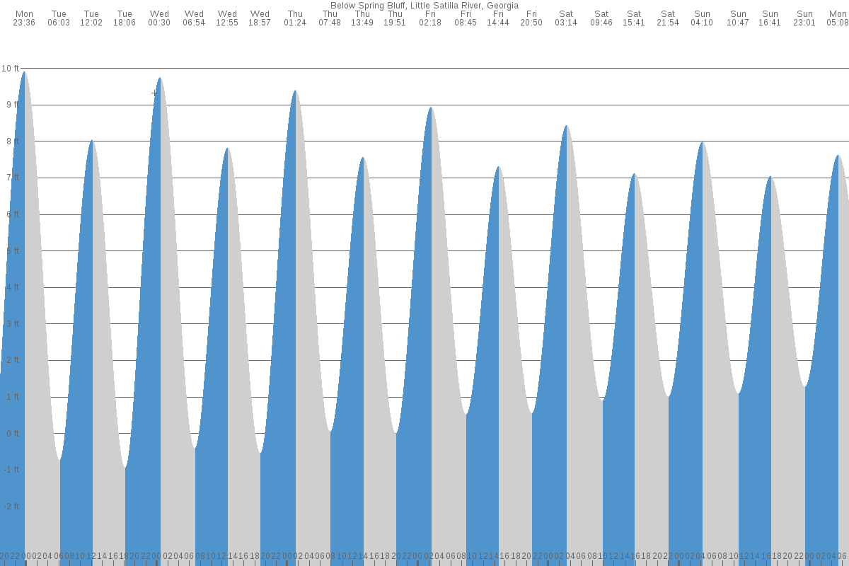 Spring Bluff tide chart