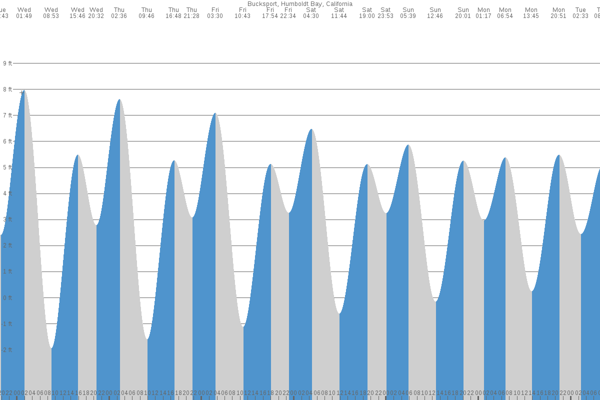 Bucksport tide chart