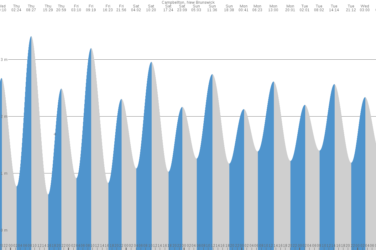 Campbellton tide chart