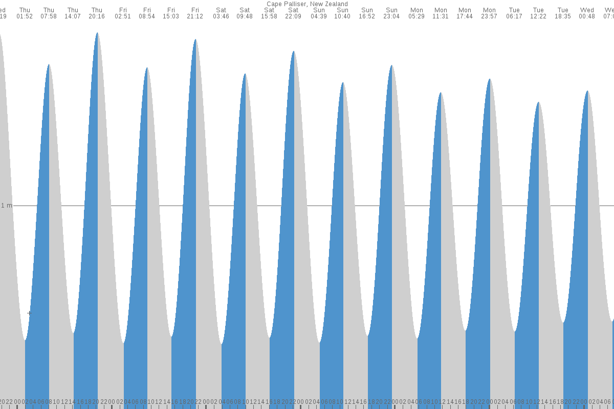 Cape Palliser tide chart
