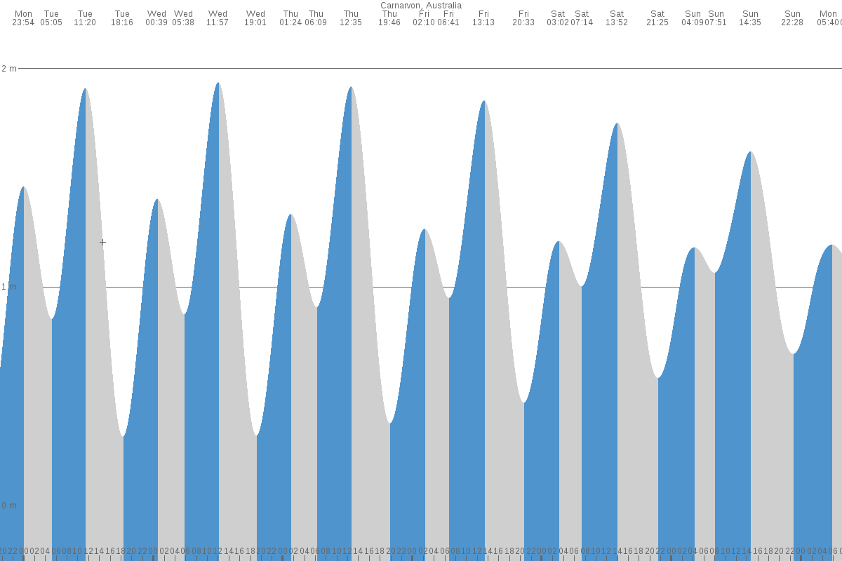 Carnarvon tide chart