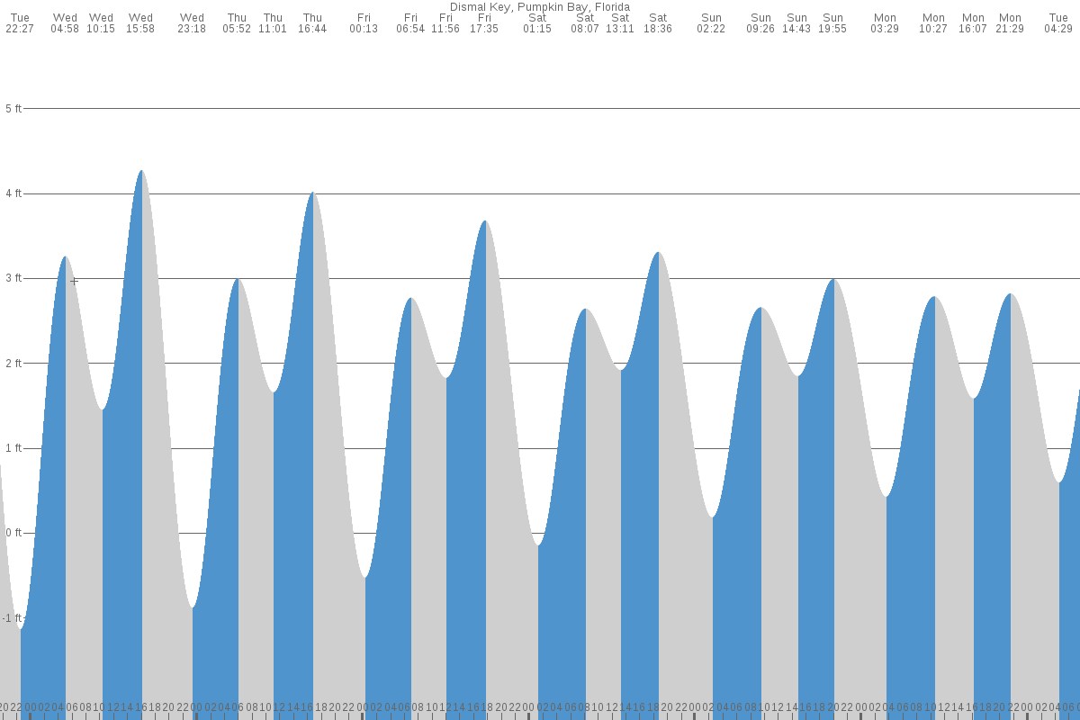 Dismal Key tide chart