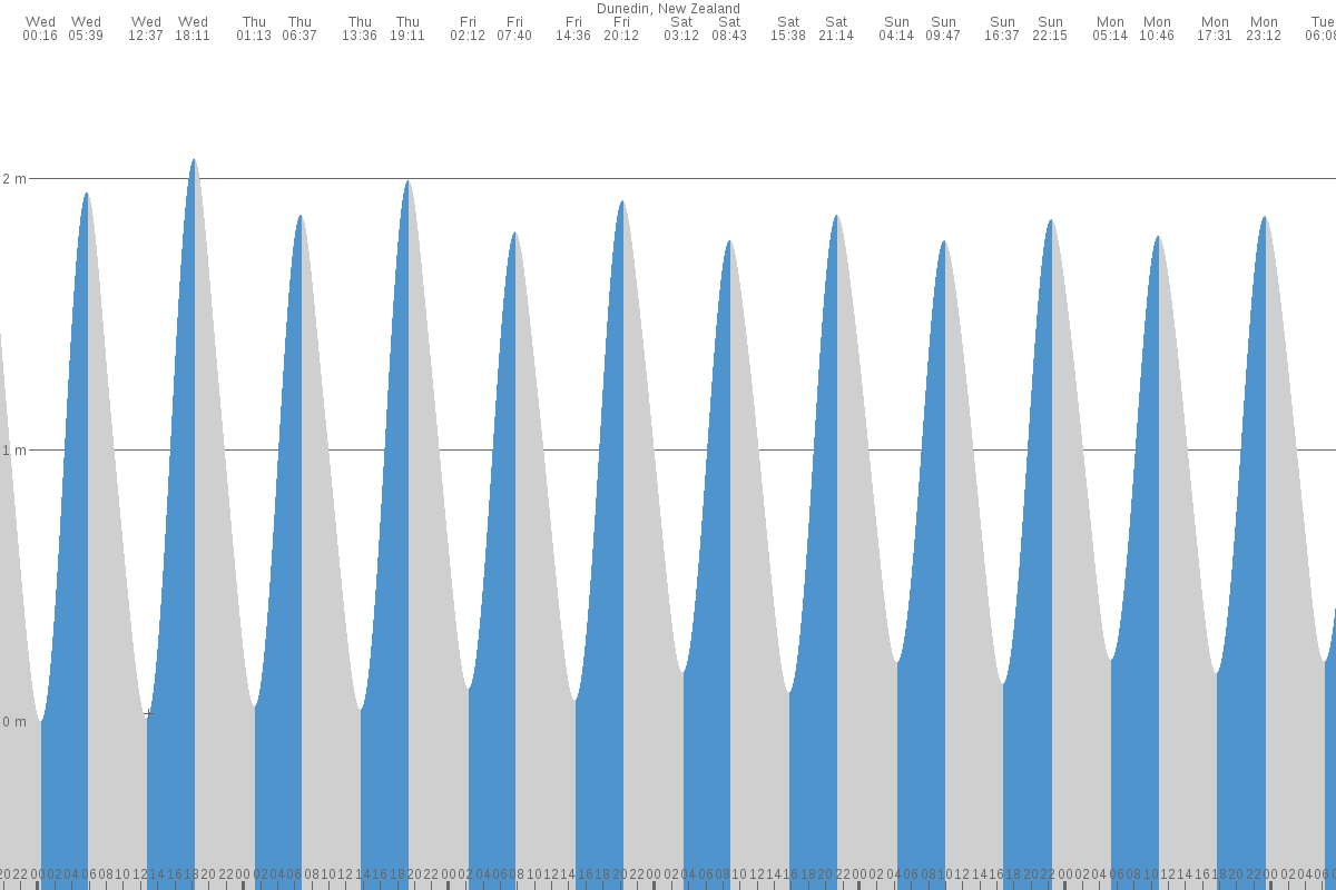 Dunedin tide chart