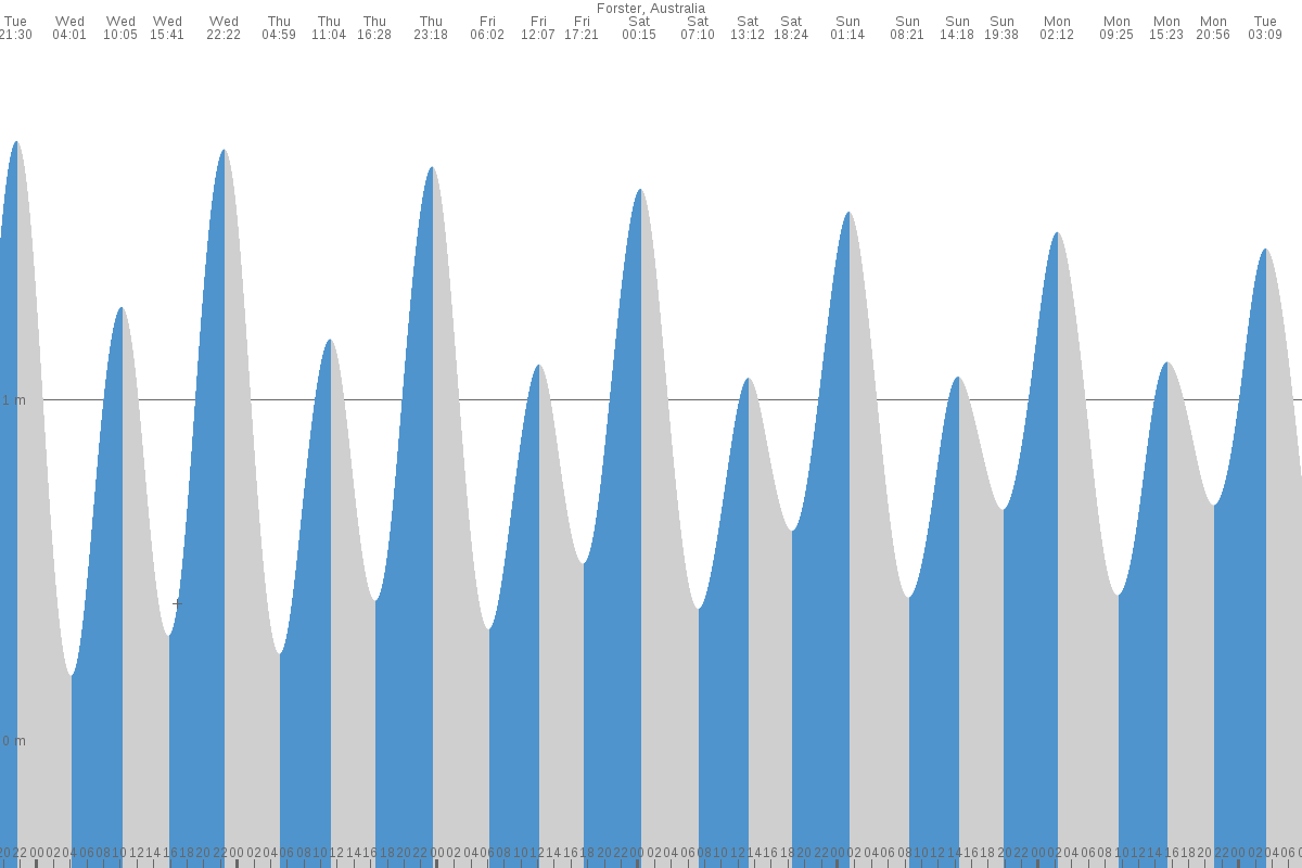 Forster tide chart