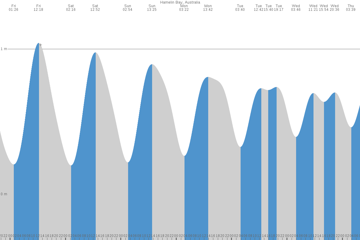 Hamelin Bay tide chart