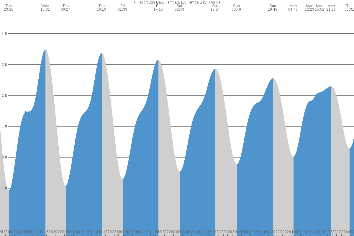 Hillsborough Bay tide chart