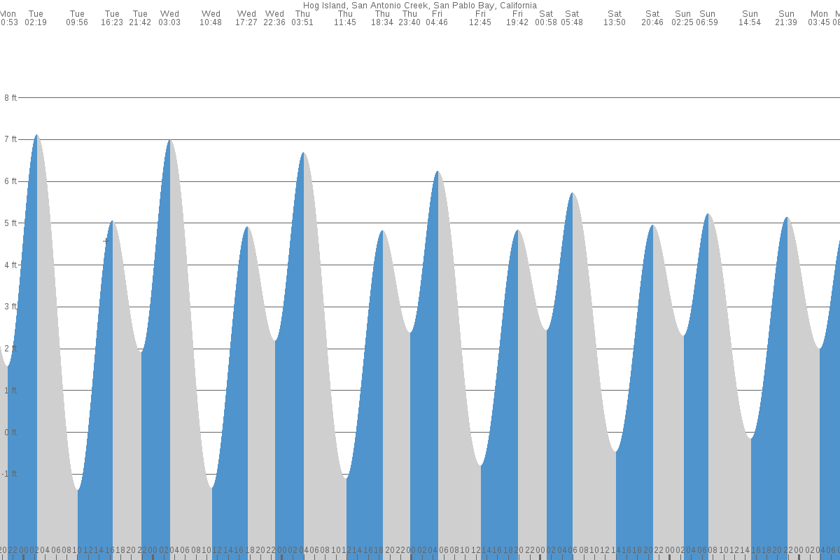 Hog Island tide chart