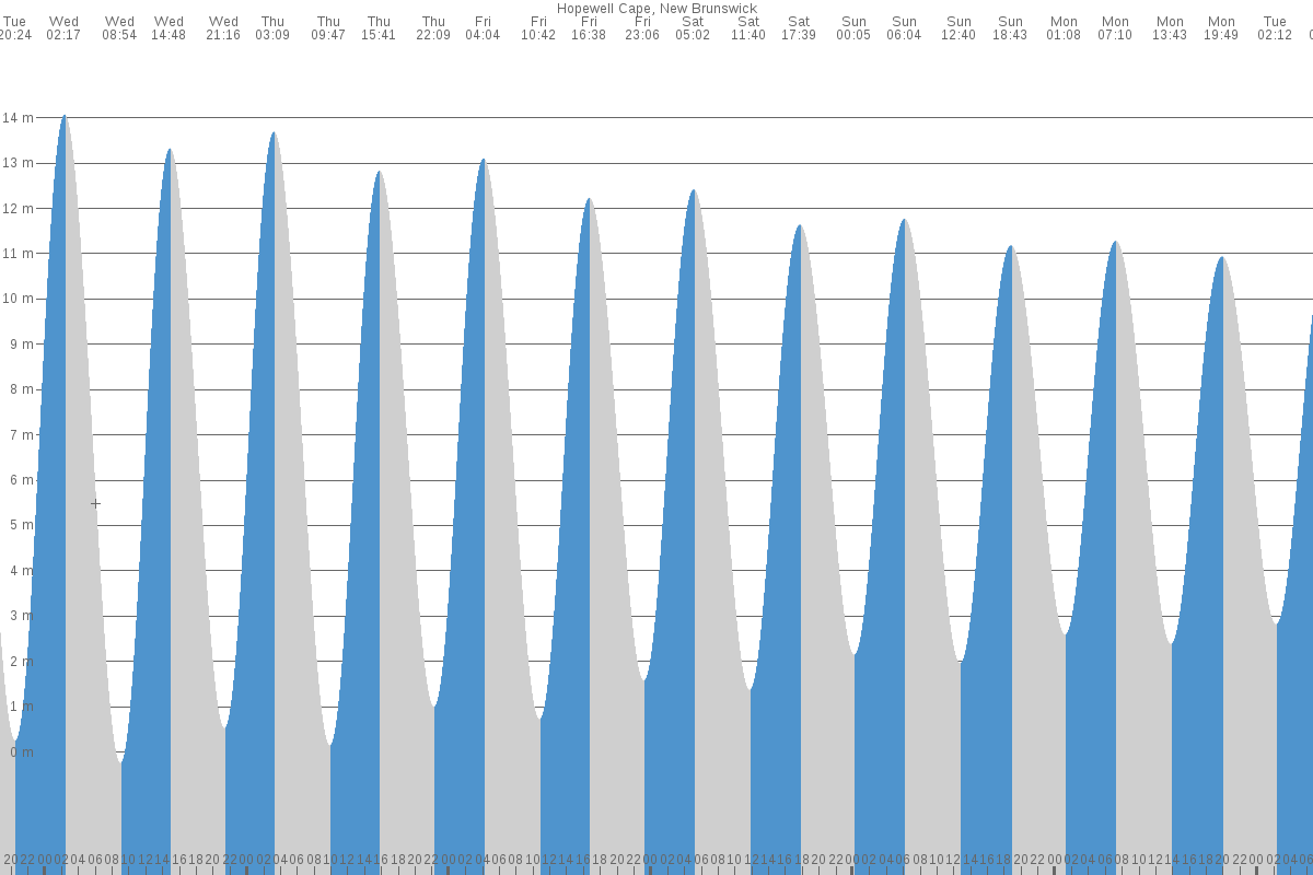 Hopewell Cape tide chart