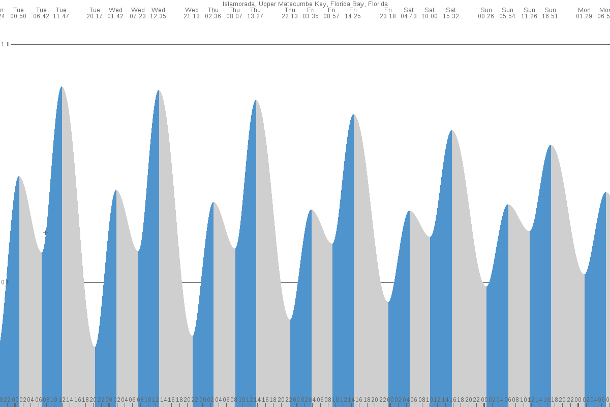 Islamorada tide chart