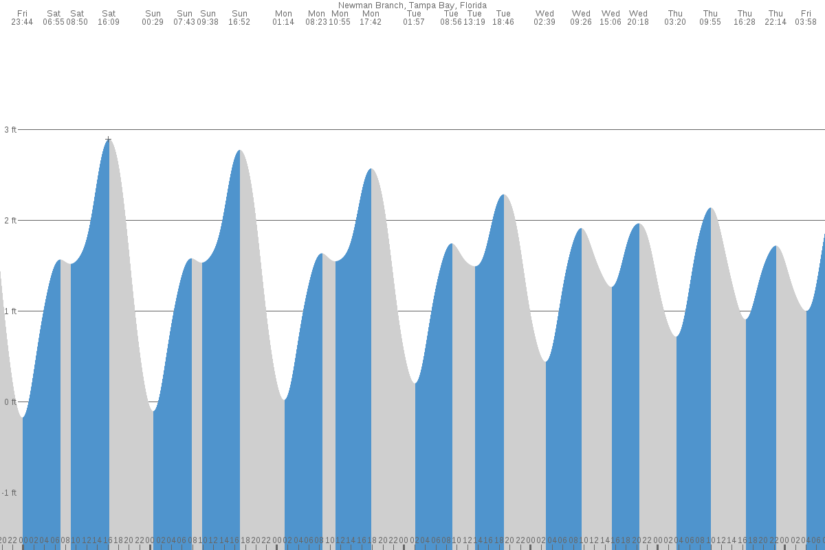 Newman Branch tide chart