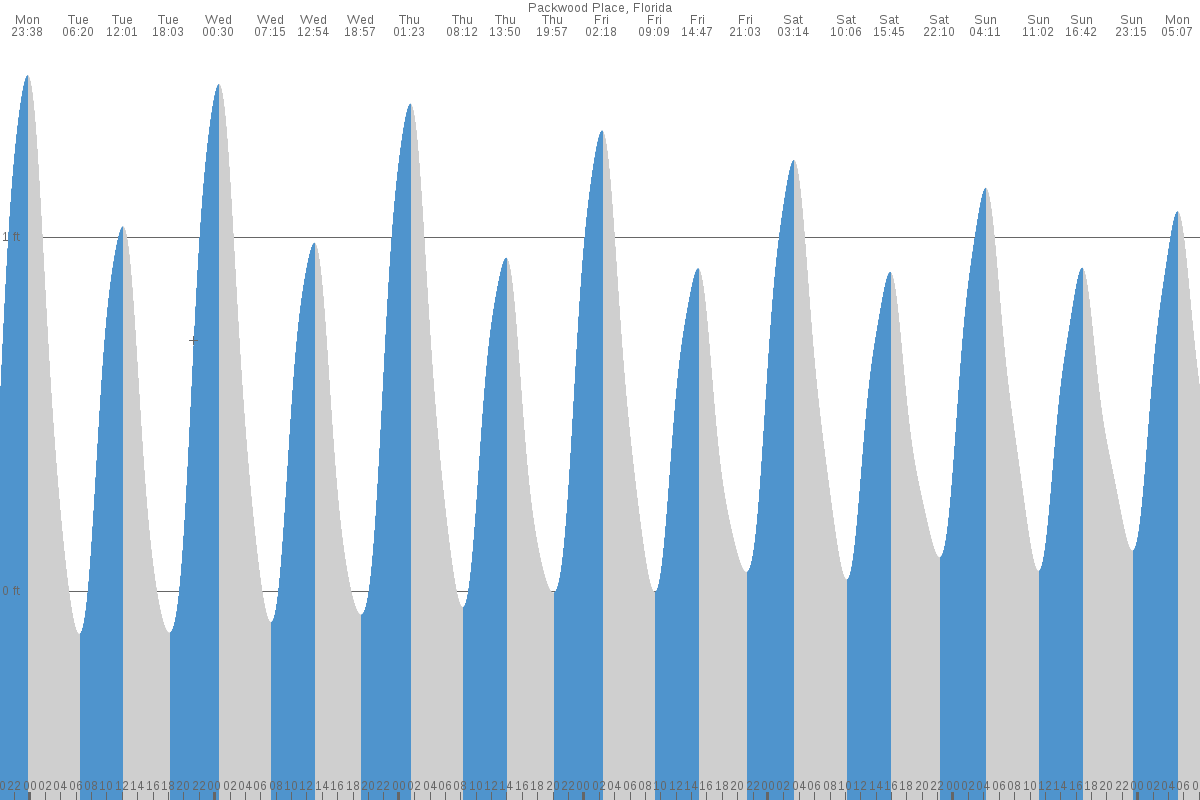 Packwood Place tide chart
