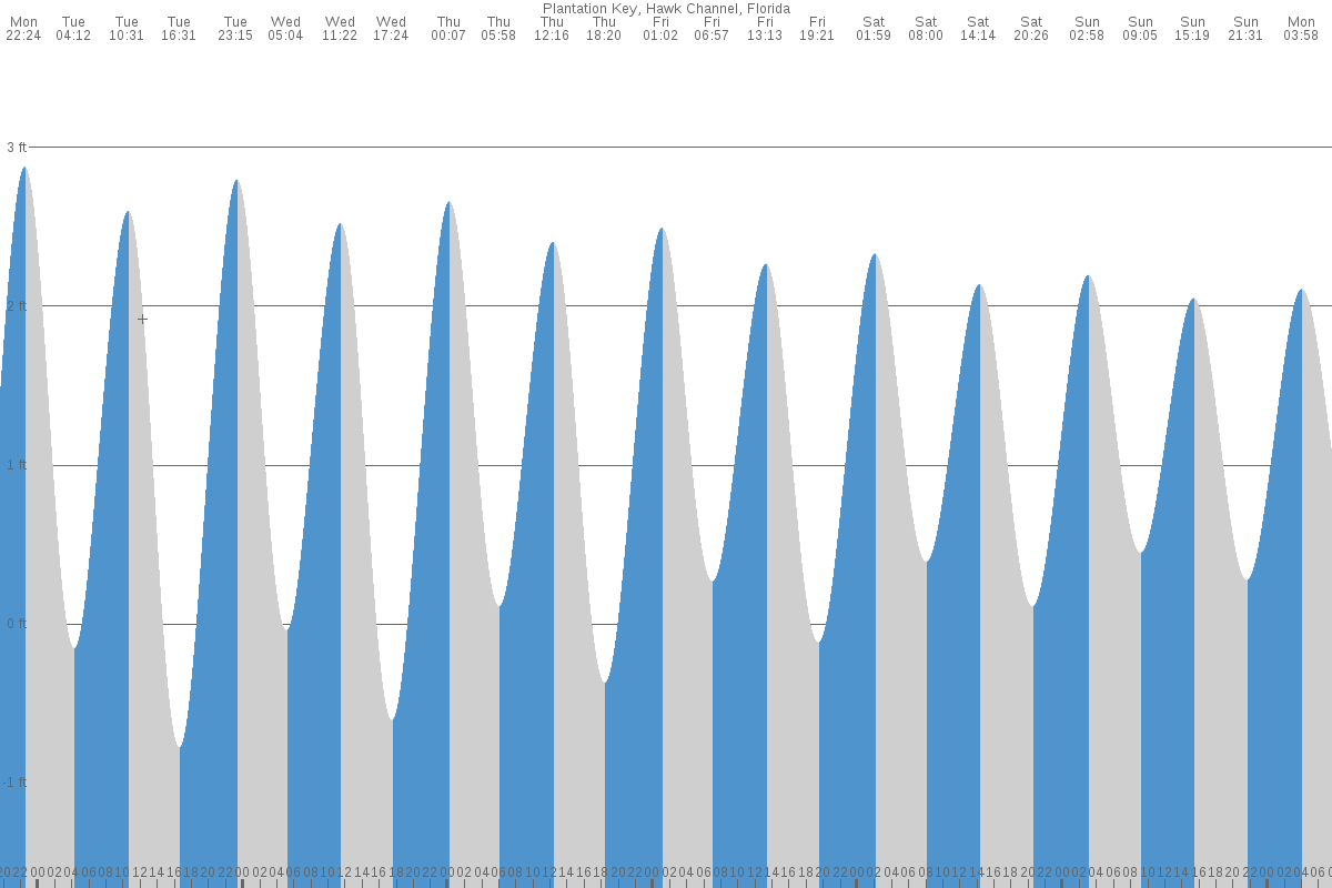 Plantation tide chart