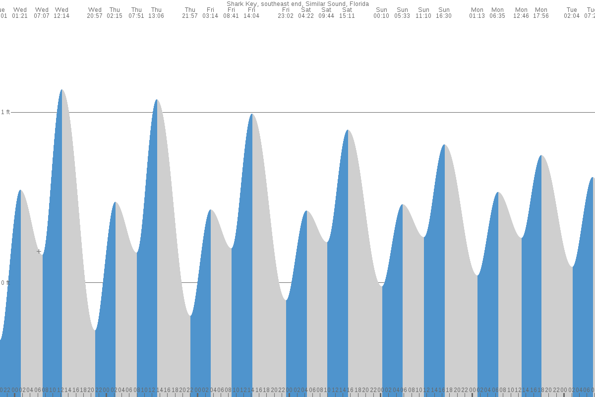 Shark Key tide chart