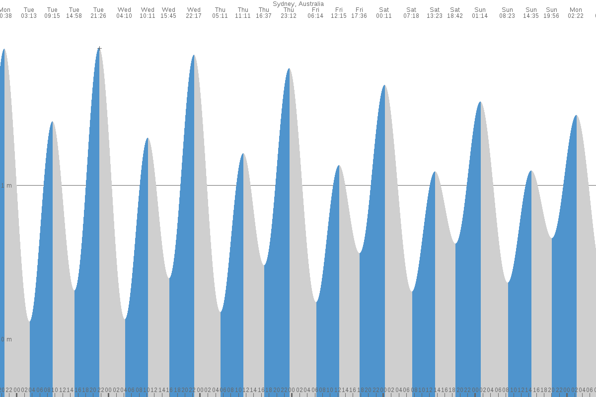 Bellevue Hill tide chart