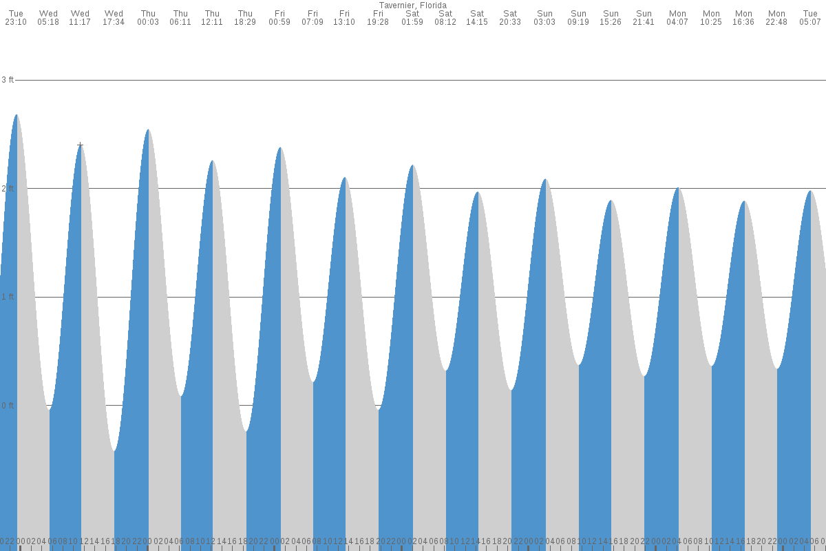 Tavernier tide chart