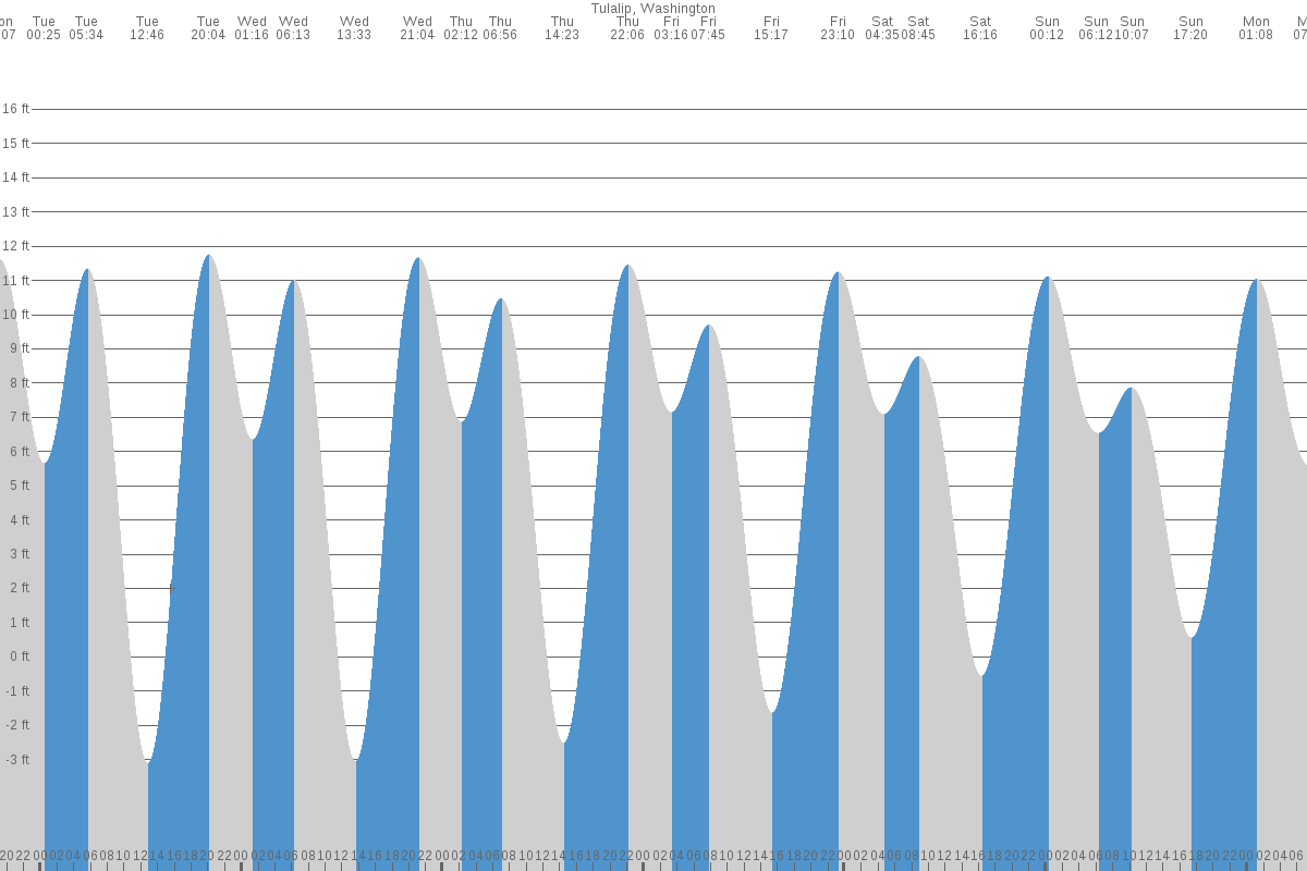 Everett tide chart