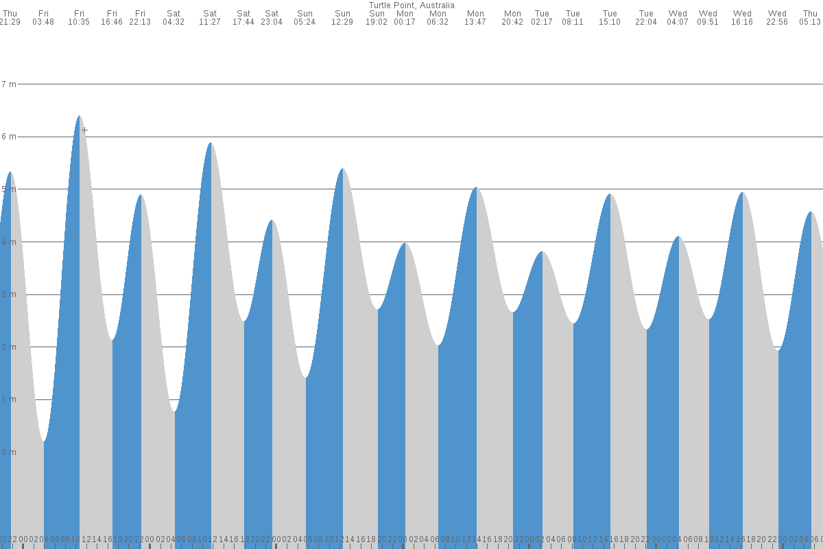 Turtle Point tide chart