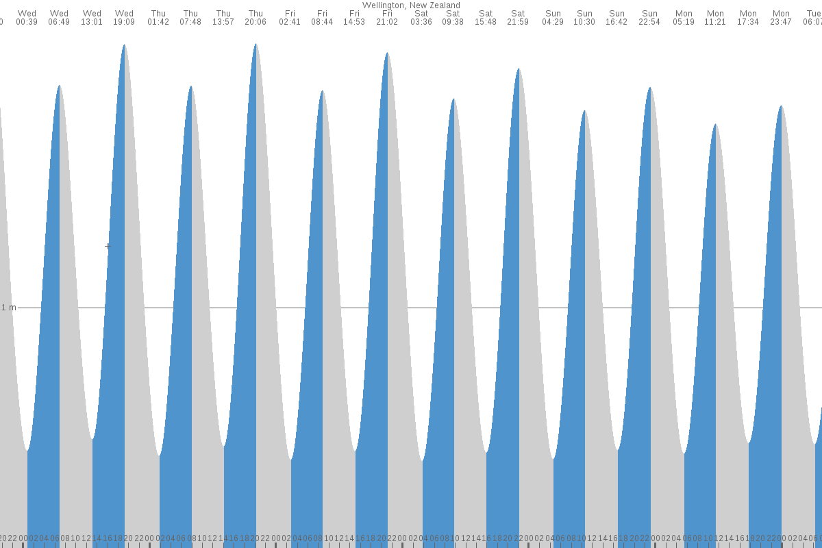 Wellington tide chart