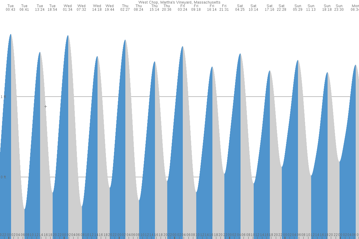 West Chop tide chart