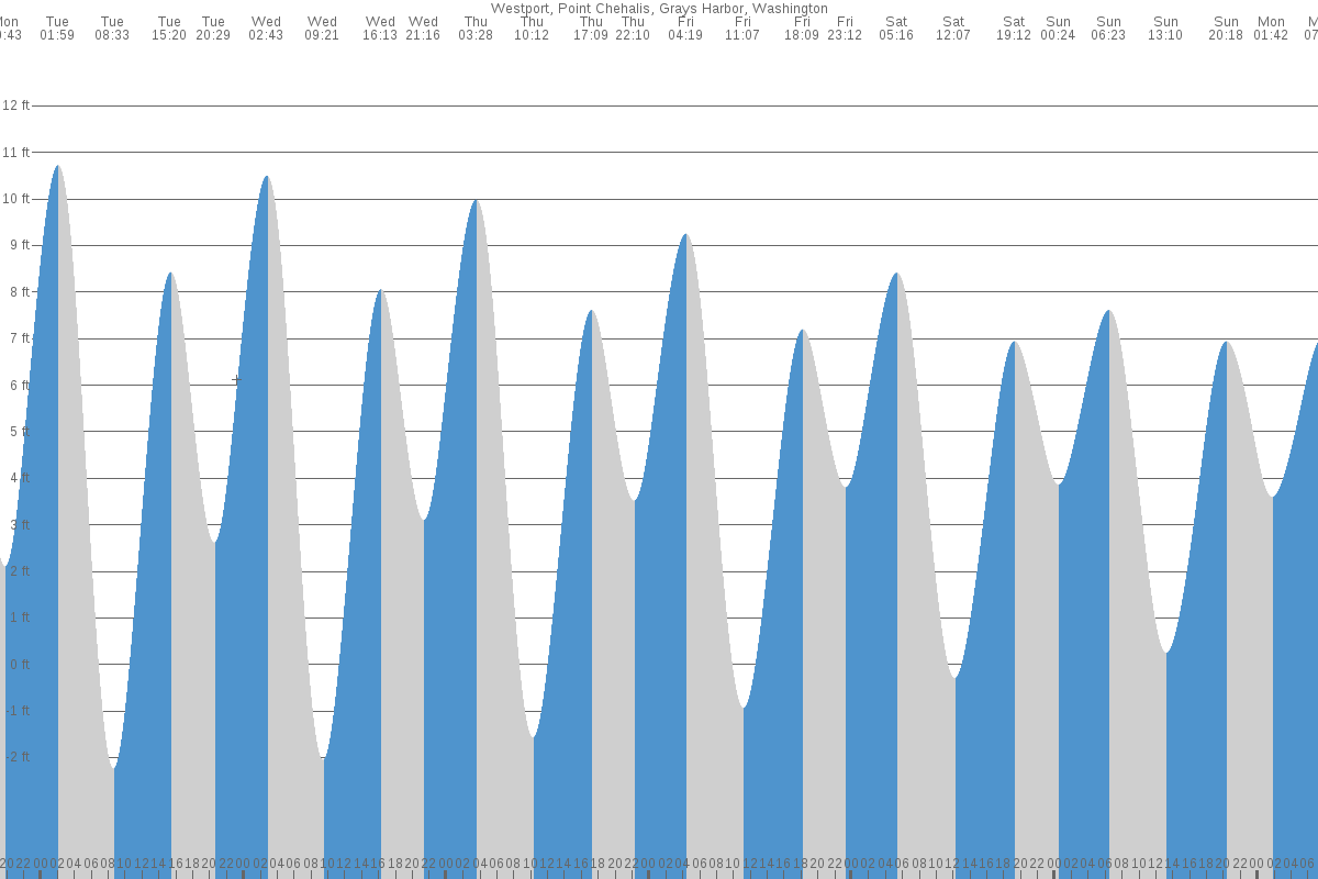 Ocean Shores (WA) Tide Chart 7 Day Tide Times