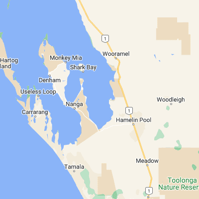 Map showing location of Hamelin Pool (-26.166670, 114.083330)